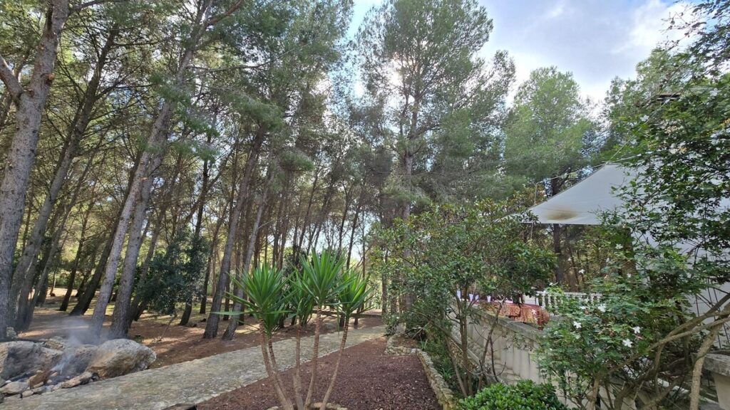 Casa Rural Refugi del Bosc (19)