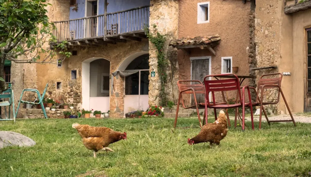 Casa rural en la Garrotxa​ (17)