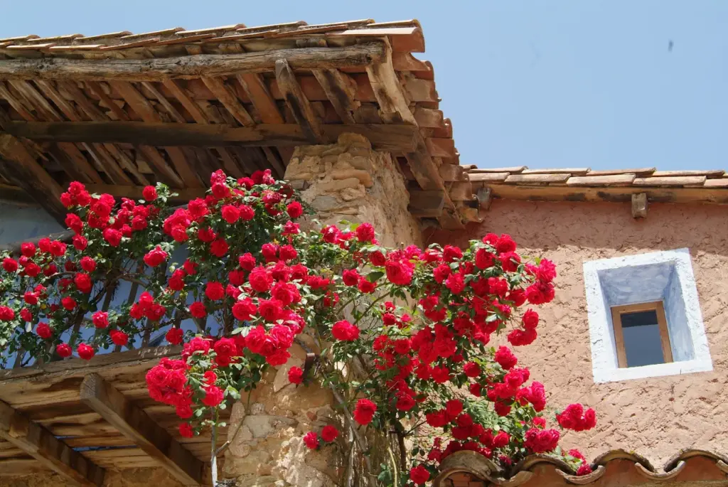 Casa rural en la Garrotxa​ (5)