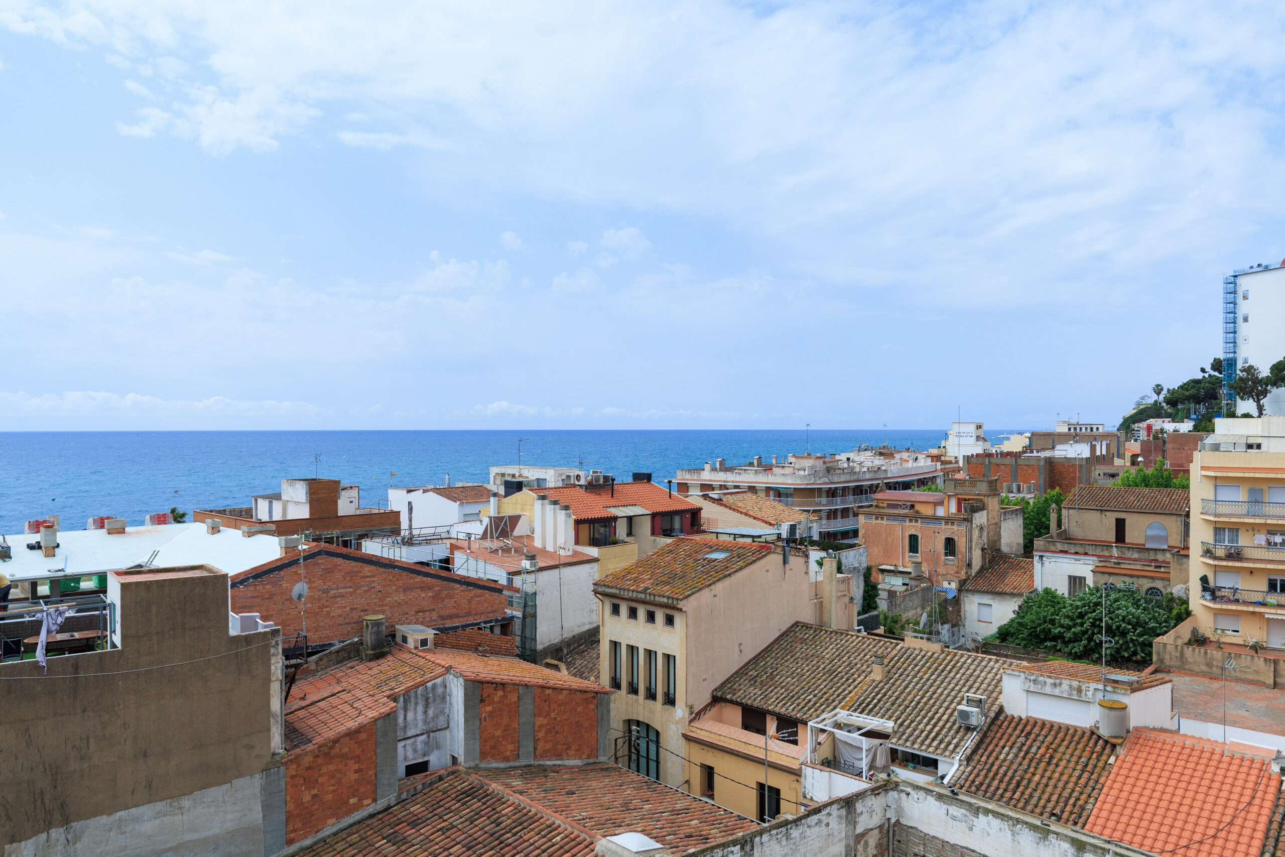OncaPint_Canet_034